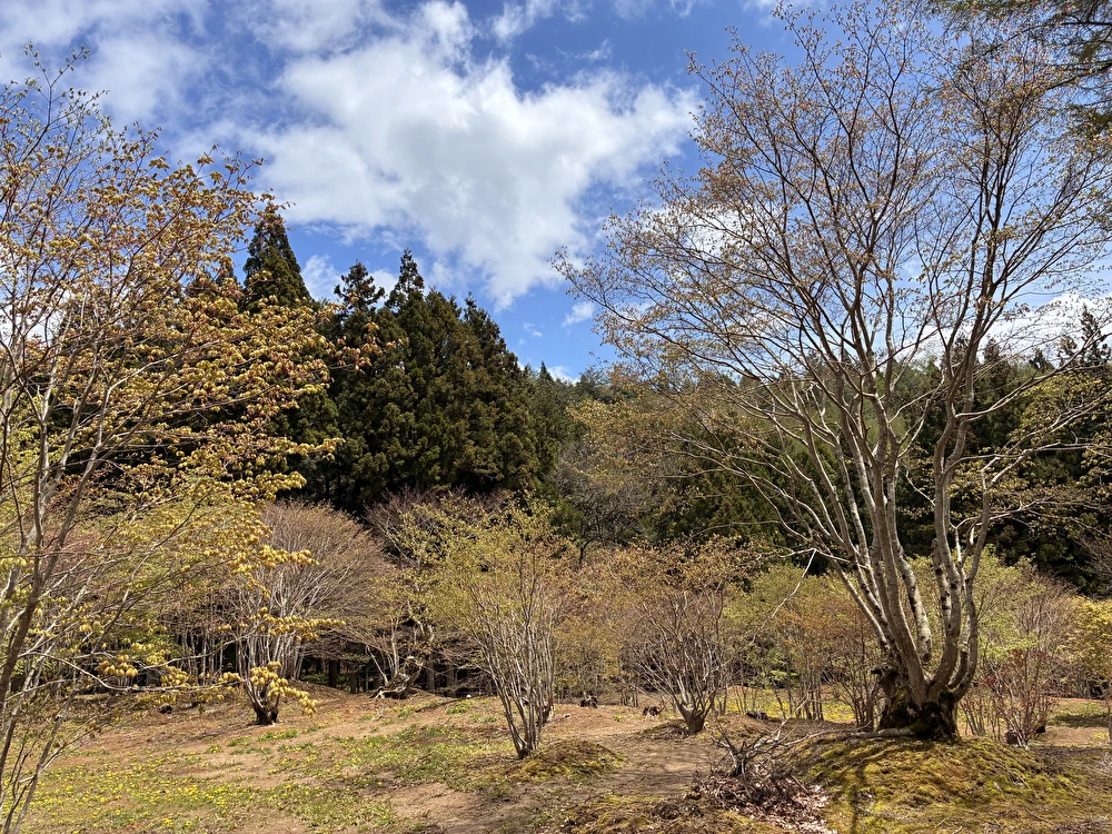 植木事業の作業風景 1